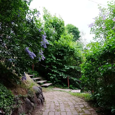 With Terrace On The Hillside Of * Вильянди